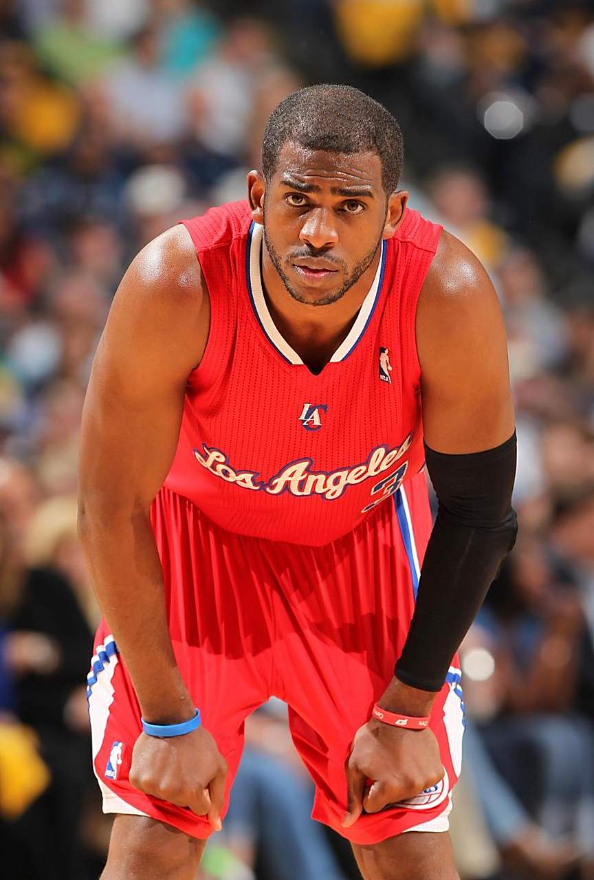 杨在红土上 杨在红土上